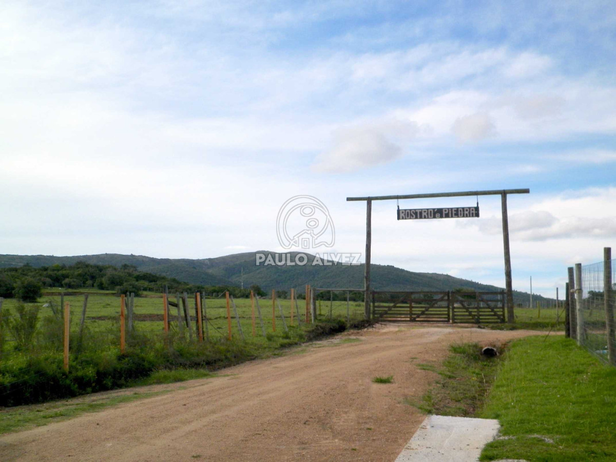 Piriápolis - GoPunta - Portal Inmobiliario de Punta del Este - Maldonado