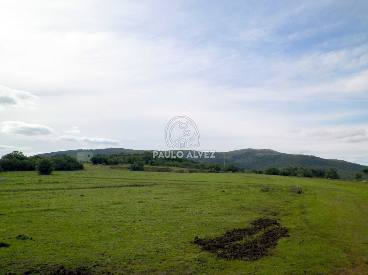 Piriápolis - GoPunta - Portal Inmobiliario de Punta del Este - Maldonado
