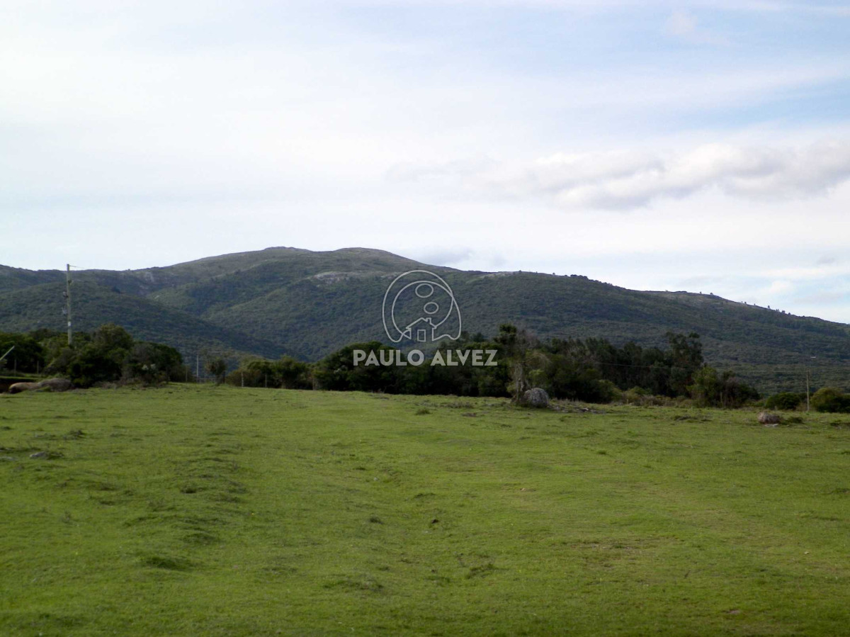 Piriápolis - GoPunta - Portal Inmobiliario de Punta del Este - Maldonado