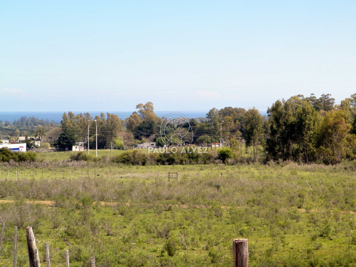 Piriápolis - GoPunta - Portal Inmobiliario de Punta del Este - Maldonado