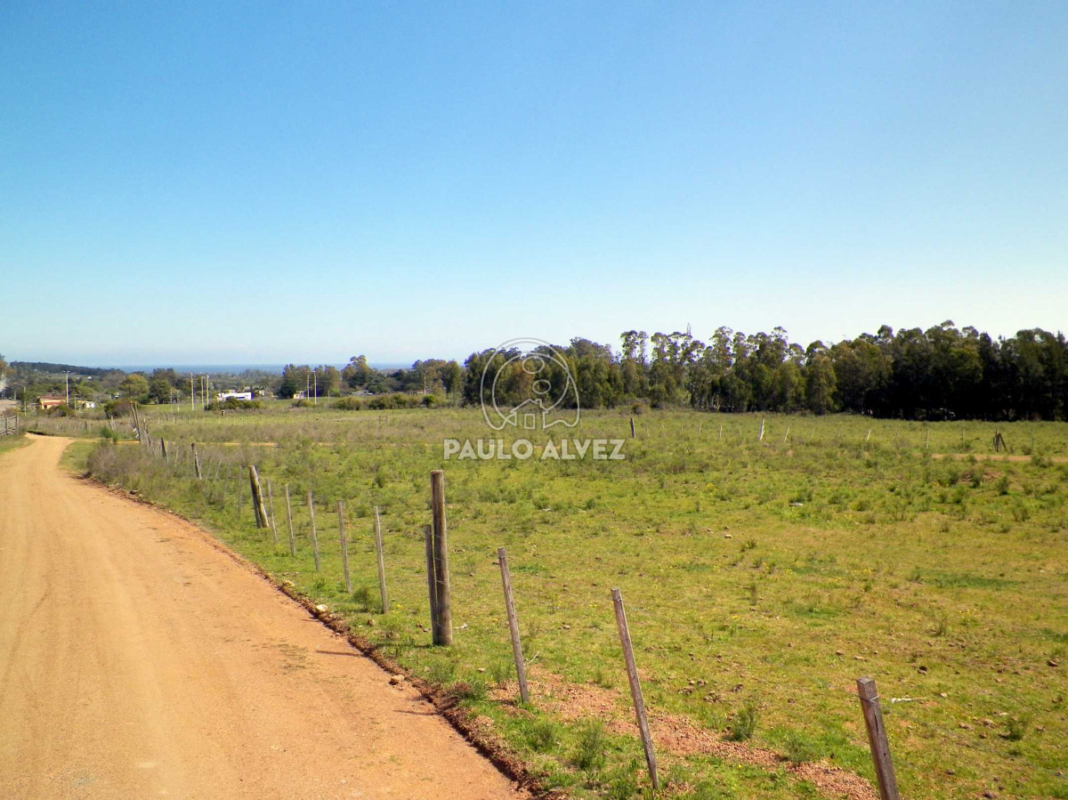 Piriápolis - GoPunta - Portal Inmobiliario de Punta del Este - Maldonado