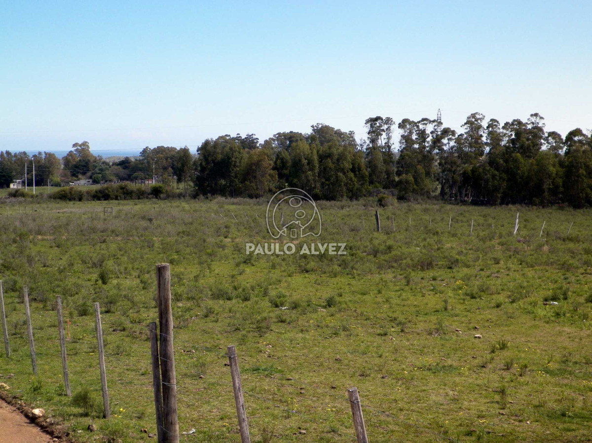 Piriápolis - GoPunta - Portal Inmobiliario de Punta del Este - Maldonado