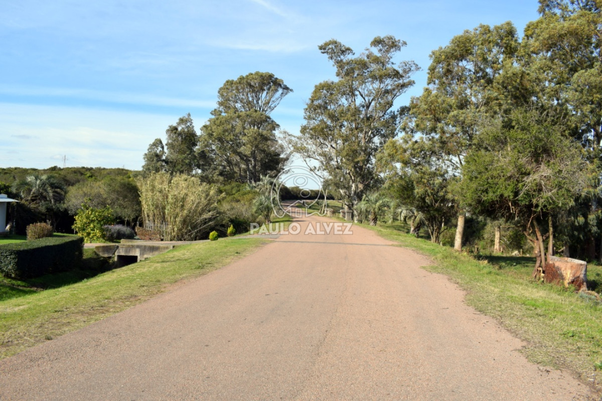 Piriápolis - GoPunta - Portal Inmobiliario de Punta del Este - Maldonado