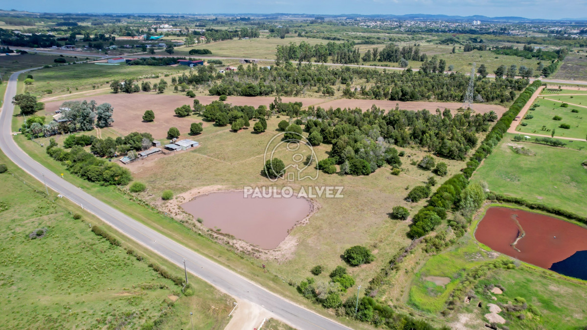 San Carlos - GoPunta - Portal Inmobiliario de Punta del Este - Maldonado