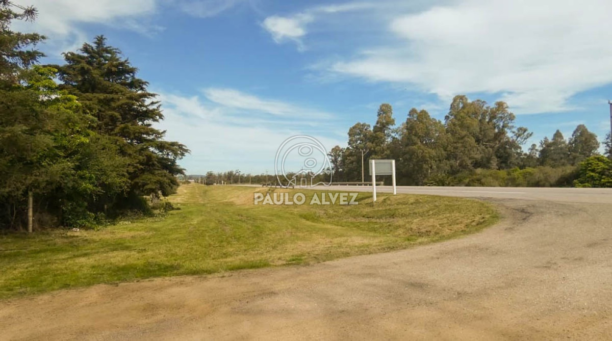 Cerros Azules - GoPunta - Portal Inmobiliario de Punta del Este - Maldonado