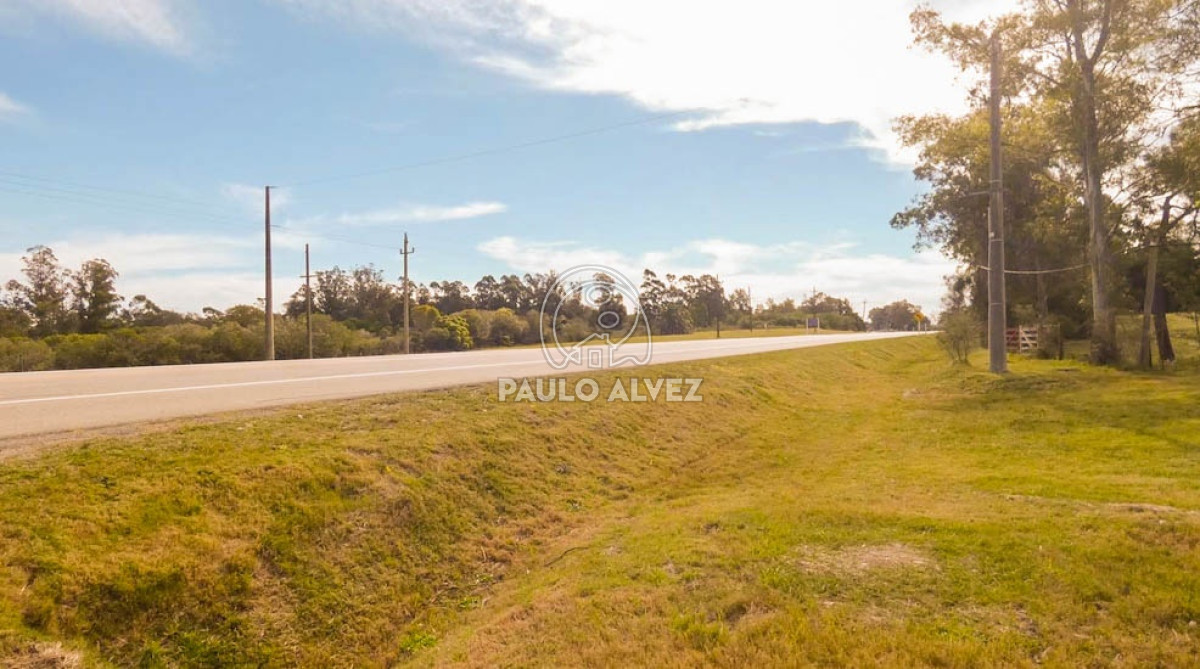 Cerros Azules - GoPunta - Portal Inmobiliario de Punta del Este - Maldonado