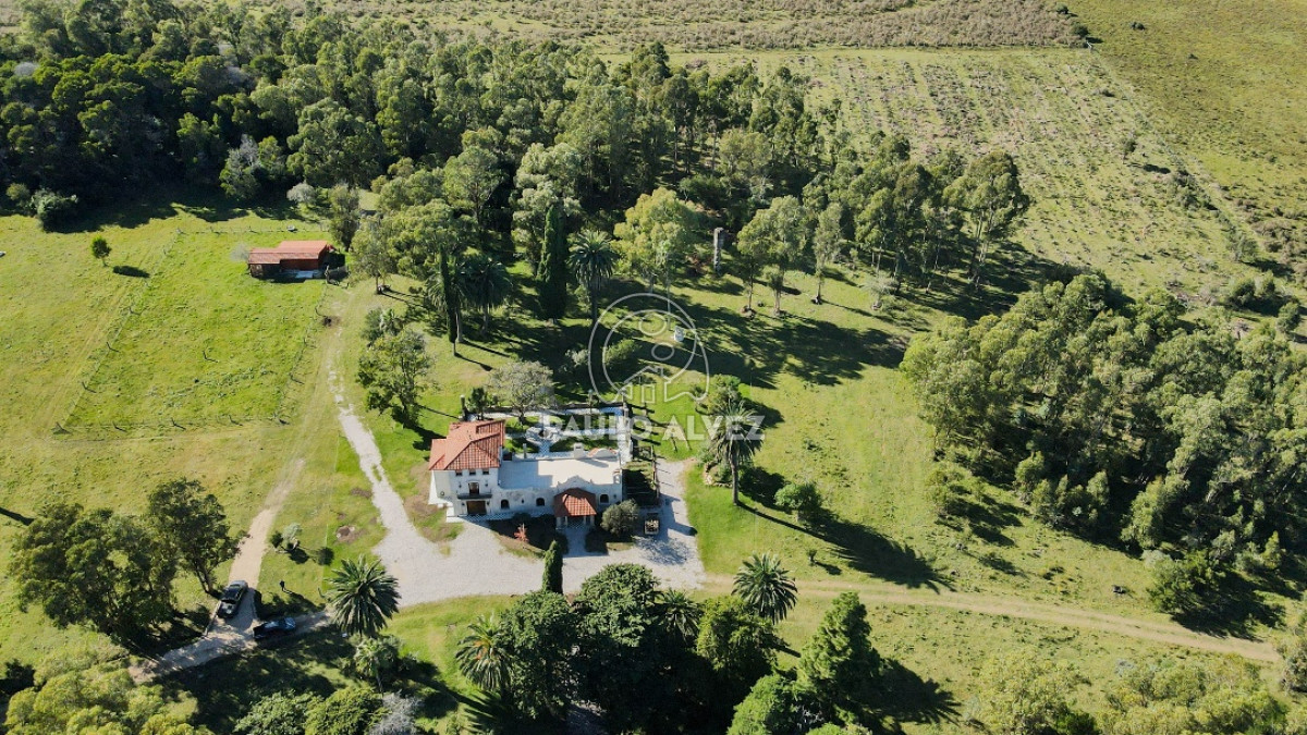 Cerros Azules - GoPunta - Portal Inmobiliario de Punta del Este - Maldonado