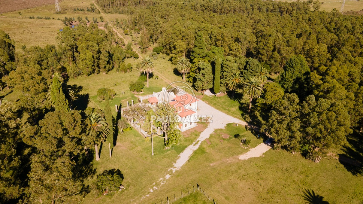 Cerros Azules - GoPunta - Portal Inmobiliario de Punta del Este - Maldonado