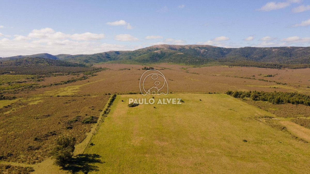 Cerros Azules - GoPunta - Portal Inmobiliario de Punta del Este - Maldonado