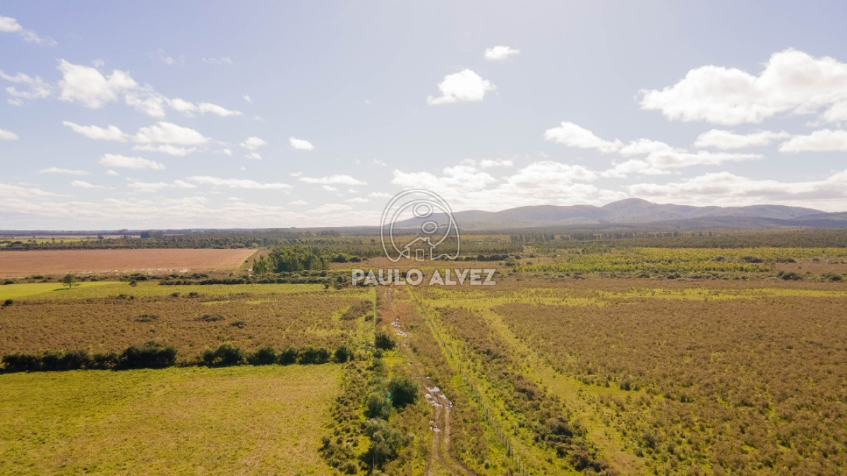 Cerros Azules - GoPunta - Portal Inmobiliario de Punta del Este - Maldonado