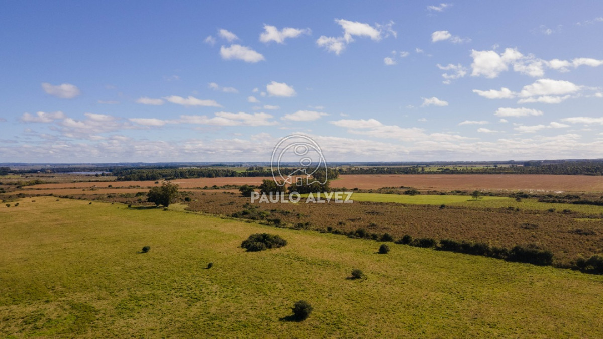 Cerros Azules - GoPunta - Portal Inmobiliario de Punta del Este - Maldonado