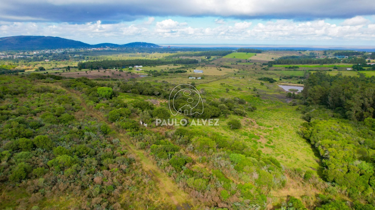 Piriápolis - GoPunta - Portal Inmobiliario de Punta del Este - Maldonado