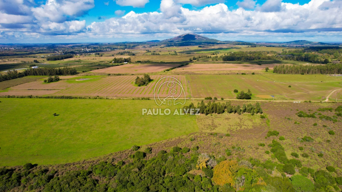 Pan de Azucar - GoPunta - Portal Inmobiliario de Punta del Este - Maldonado
