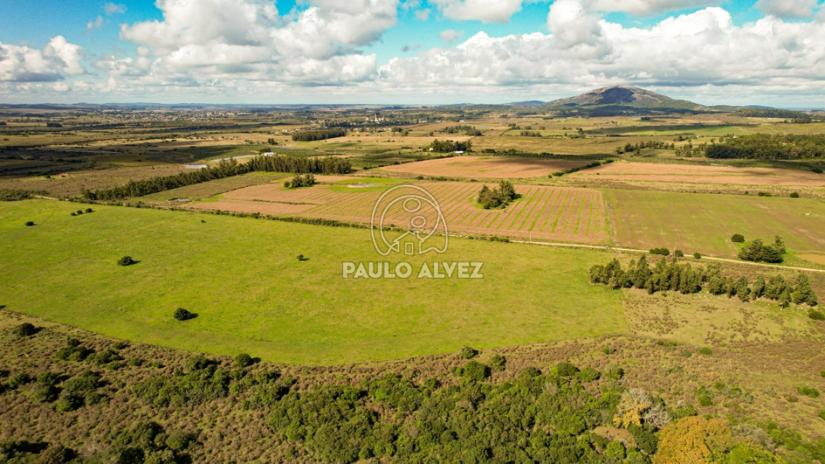 Pan de Azucar - GoPunta - Portal Inmobiliario de Punta del Este - Maldonado