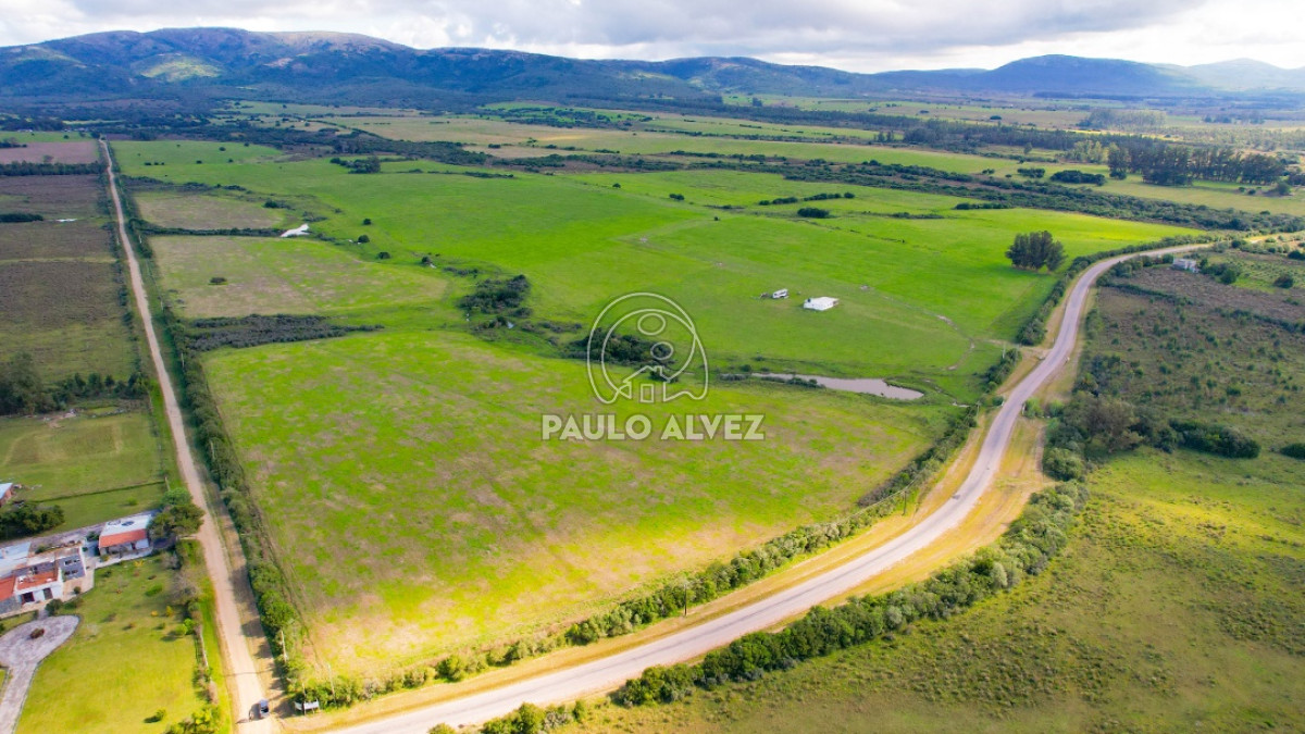 Pan de Azucar - GoPunta - Portal Inmobiliario de Punta del Este - Maldonado