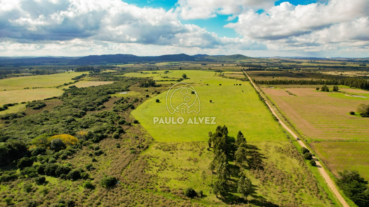Pan de Azucar - GoPunta - Portal Inmobiliario de Punta del Este - Maldonado