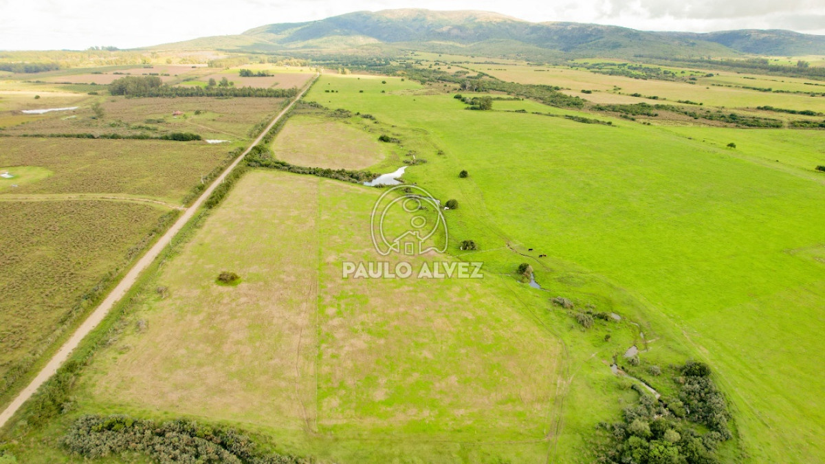 Pan de Azucar - GoPunta - Portal Inmobiliario de Punta del Este - Maldonado