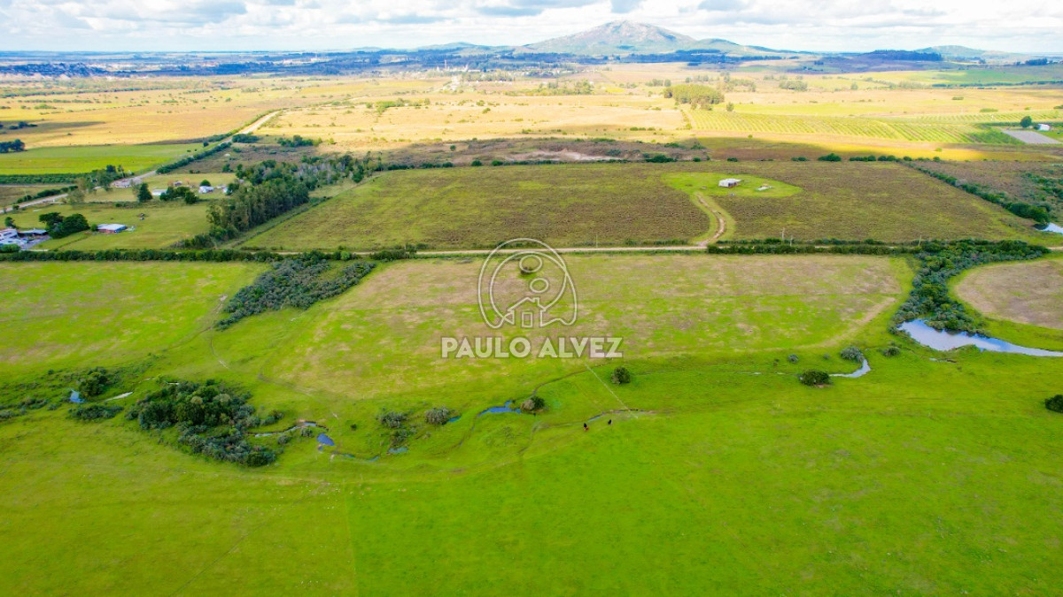 Pan de Azucar - GoPunta - Portal Inmobiliario de Punta del Este - Maldonado