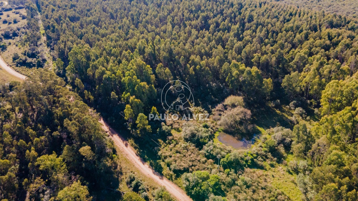 Pueblo Eden - GoPunta - Portal Inmobiliario de Punta del Este - Maldonado