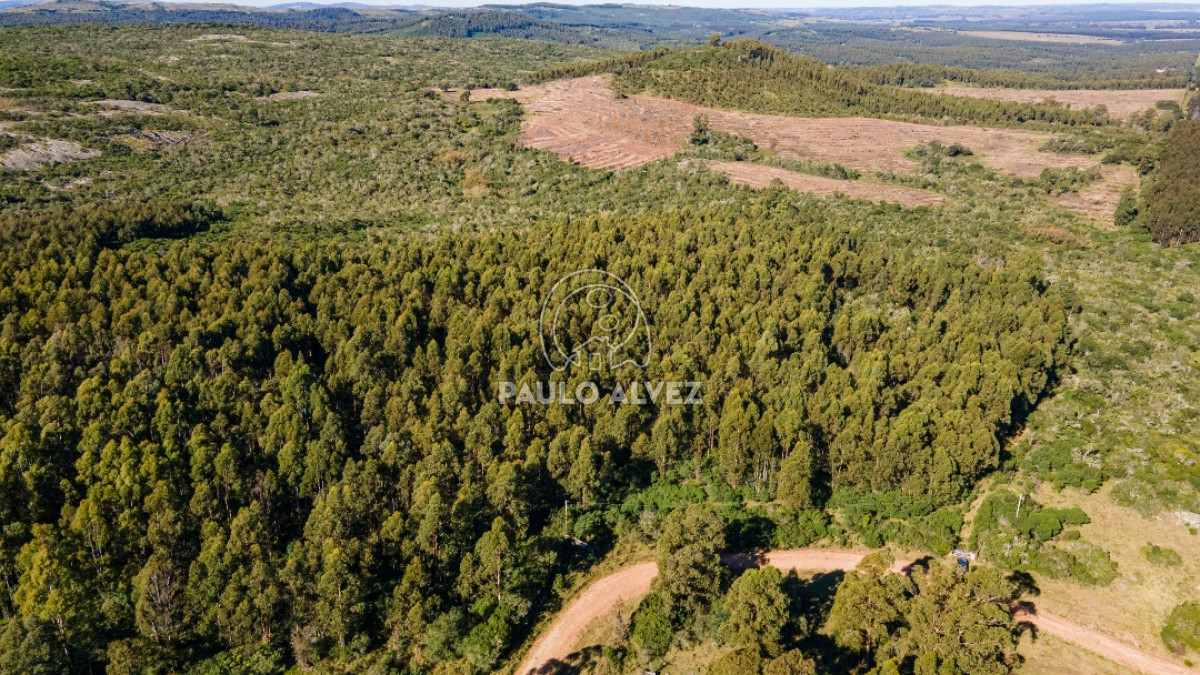 Pueblo Eden - GoPunta - Portal Inmobiliario de Punta del Este - Maldonado
