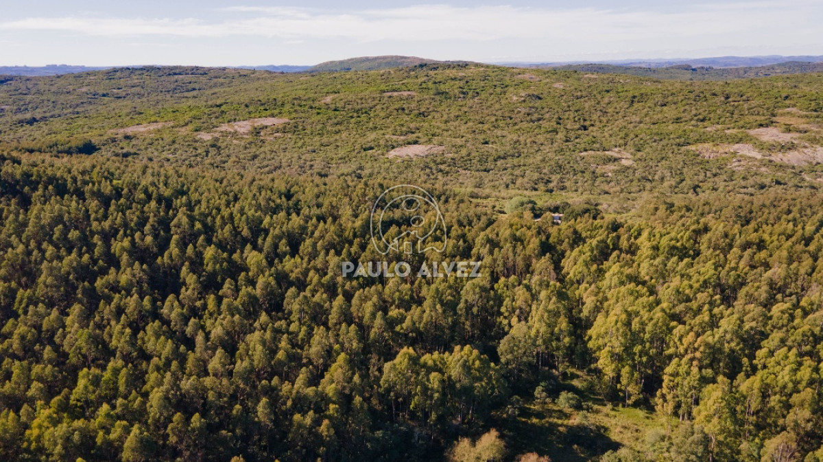Pueblo Eden - GoPunta - Portal Inmobiliario de Punta del Este - Maldonado