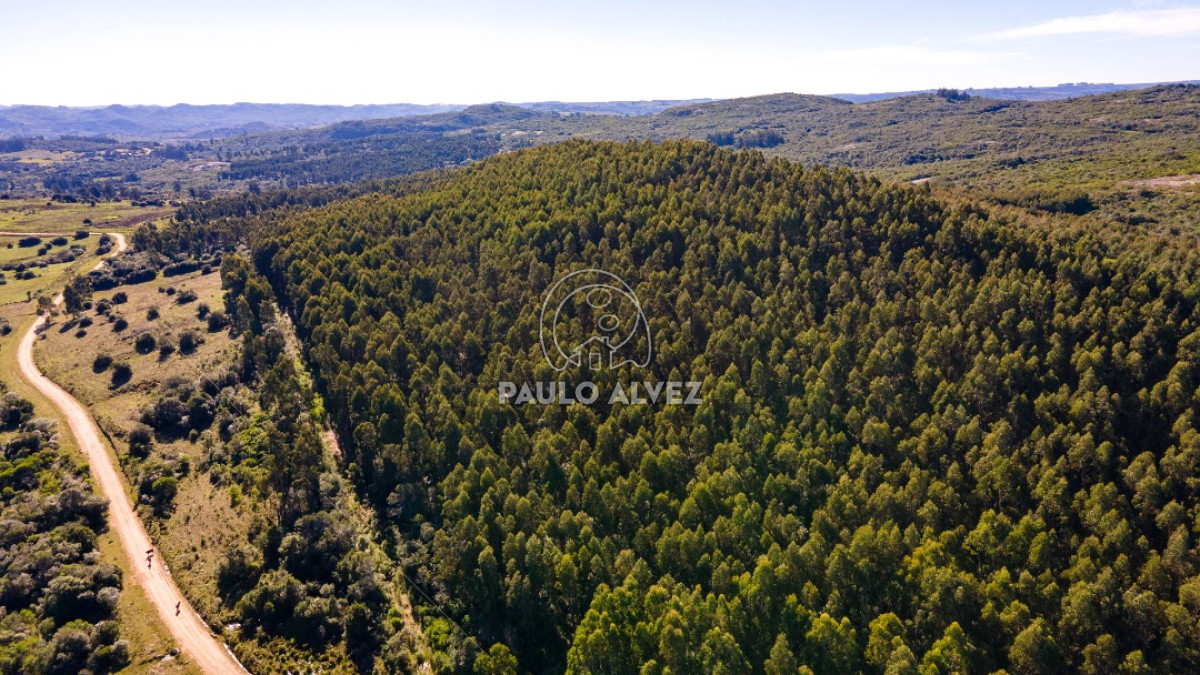 Pueblo Eden - GoPunta - Portal Inmobiliario de Punta del Este - Maldonado