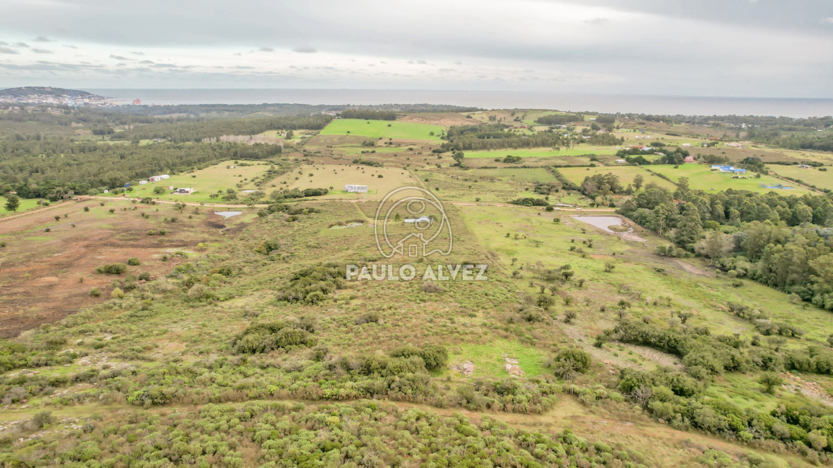 Piriápolis - GoPunta - Portal Inmobiliario de Punta del Este - Maldonado