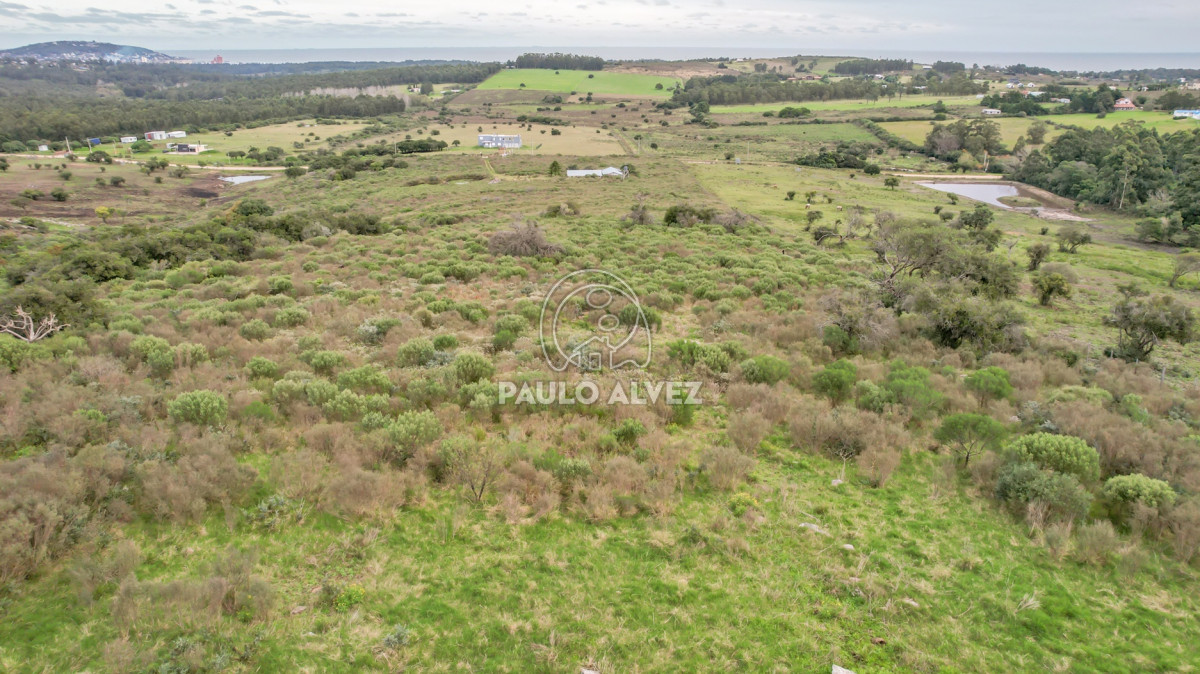 Piriápolis - GoPunta - Portal Inmobiliario de Punta del Este - Maldonado