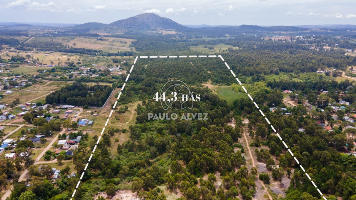 Piriápolis - GoPunta - Portal Inmobiliario de Punta del Este - Maldonado
