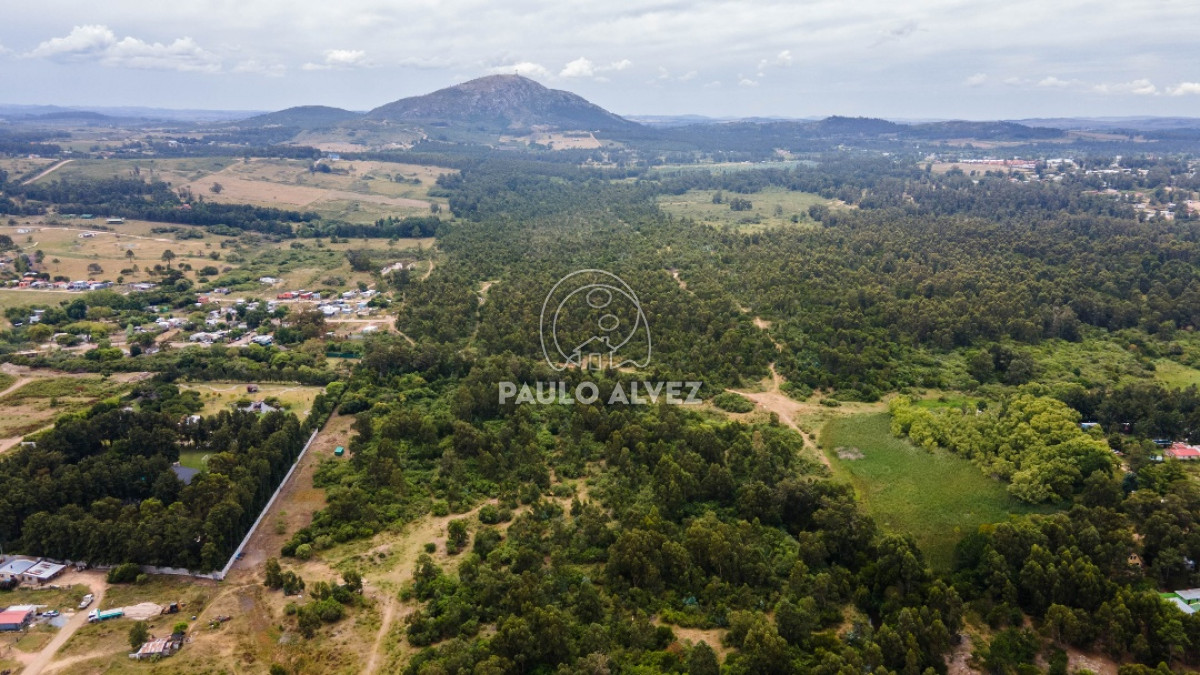 Piriápolis - GoPunta - Portal Inmobiliario de Punta del Este - Maldonado