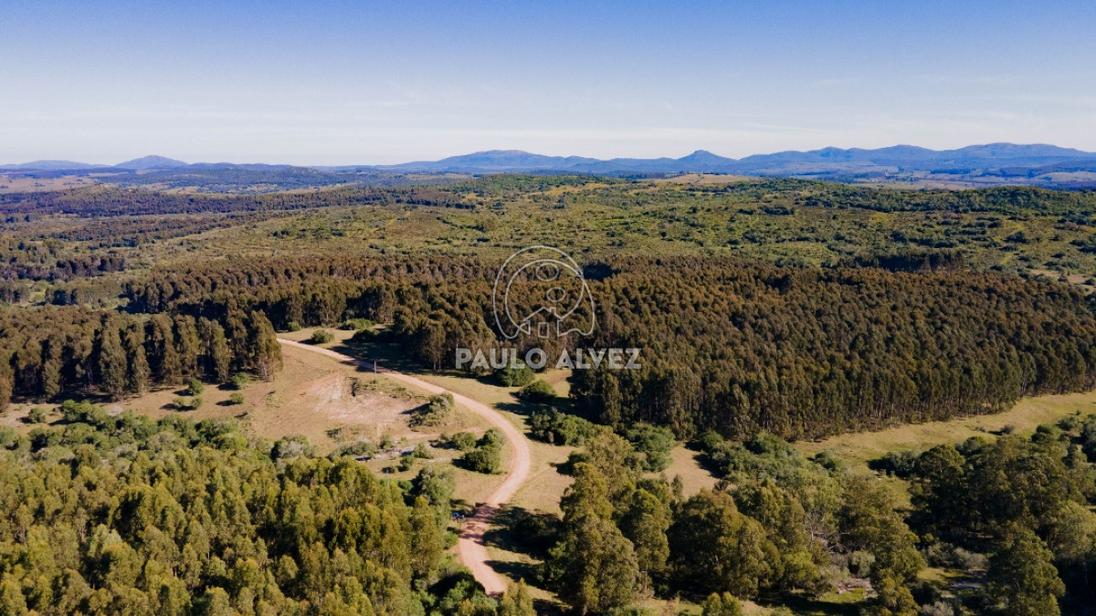 Pueblo Eden - GoPunta - Portal Inmobiliario de Punta del Este - Maldonado