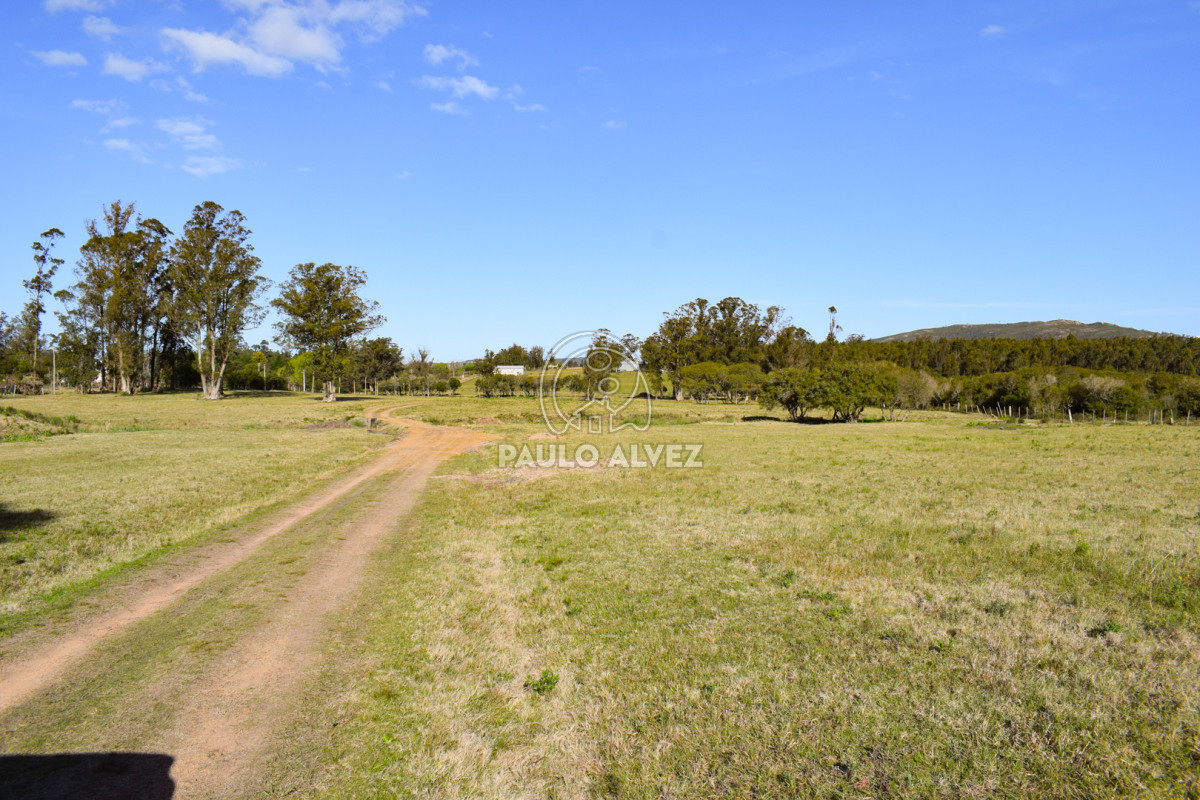 Zona Rural - GoPunta - Portal Inmobiliario de Punta del Este - Maldonado