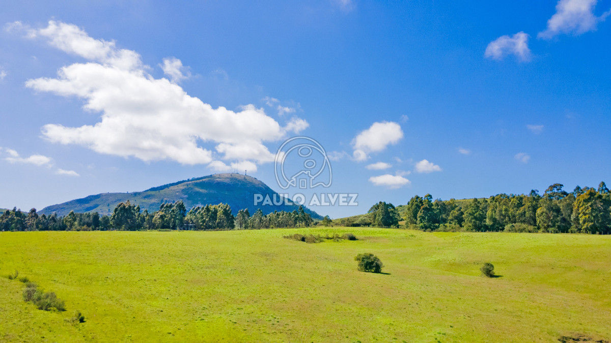 Piriápolis - GoPunta - Portal Inmobiliario de Punta del Este - Maldonado