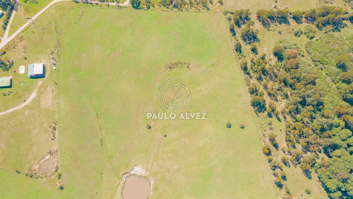 Piriápolis - GoPunta - Portal Inmobiliario de Punta del Este - Maldonado