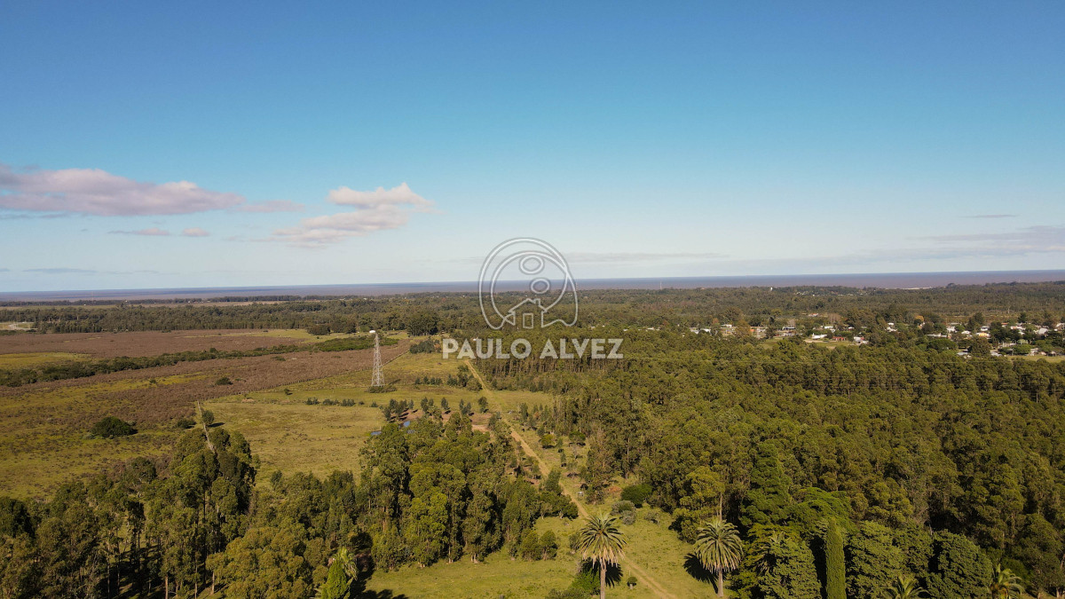 Cerros Azules - GoPunta - Portal Inmobiliario de Punta del Este - Maldonado