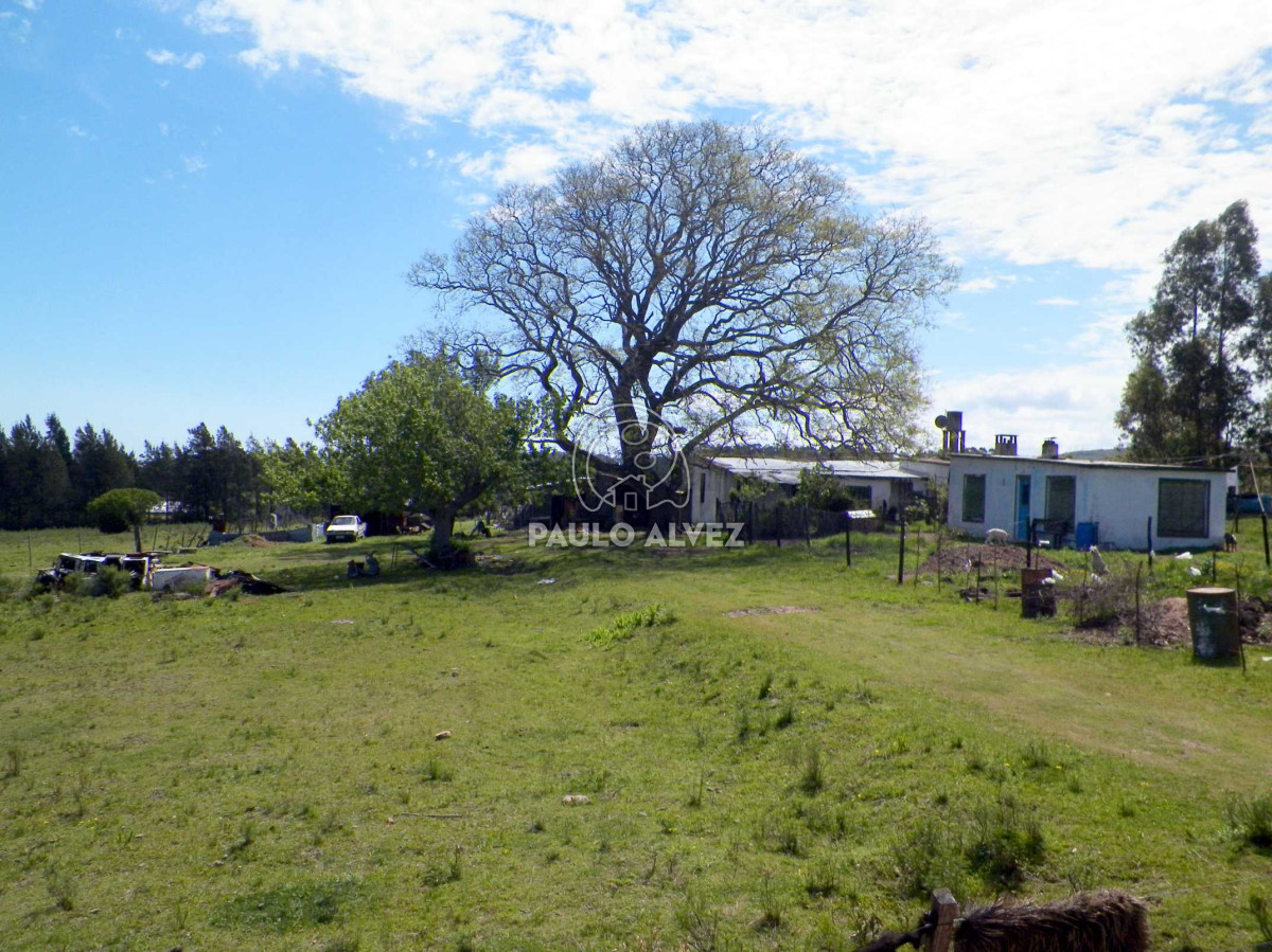 Las Flores - GoPunta - Portal Inmobiliario de Punta del Este - Maldonado