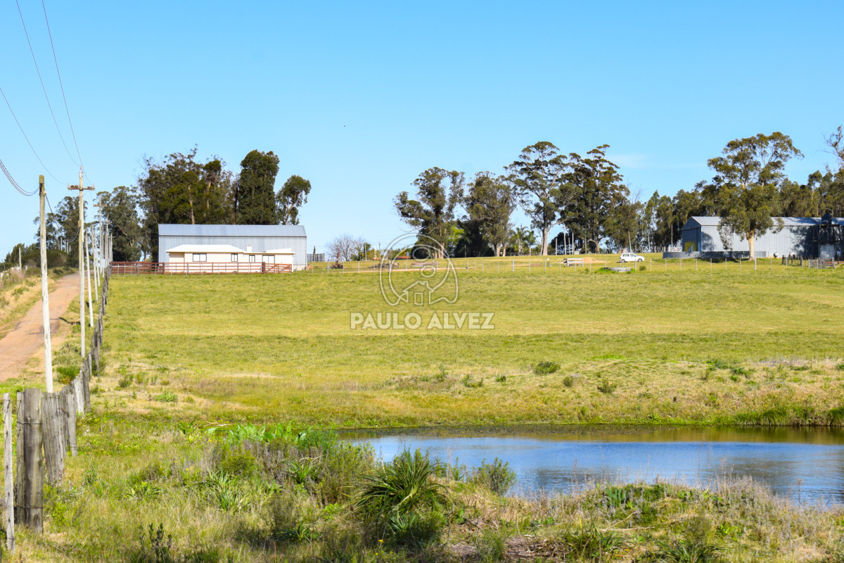 Zona Rural - GoPunta - Portal Inmobiliario de Punta del Este - Maldonado