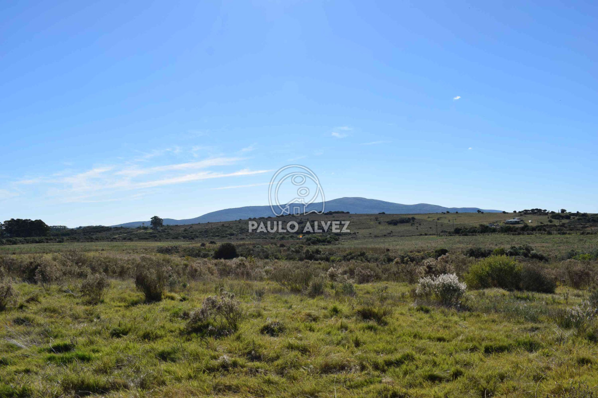 Piriápolis - GoPunta - Portal Inmobiliario de Punta del Este - Maldonado