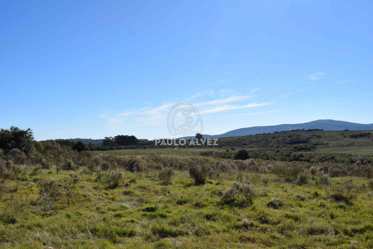 Piriápolis - GoPunta - Portal Inmobiliario de Punta del Este - Maldonado