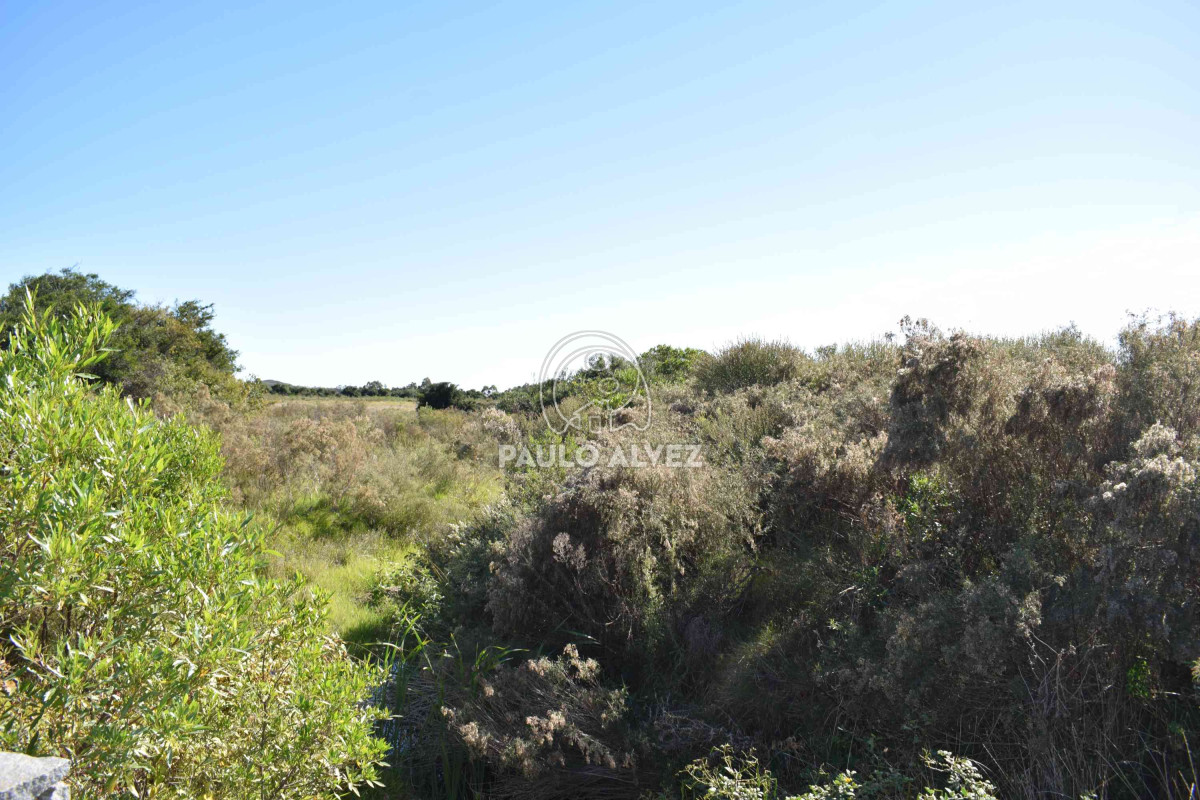 Piriápolis - GoPunta - Portal Inmobiliario de Punta del Este - Maldonado