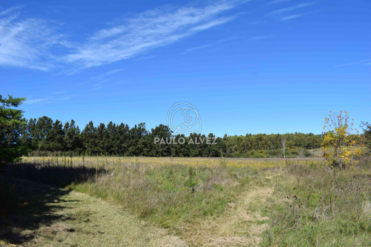 Playa Verde - GoPunta - Portal Inmobiliario de Punta del Este - Maldonado
