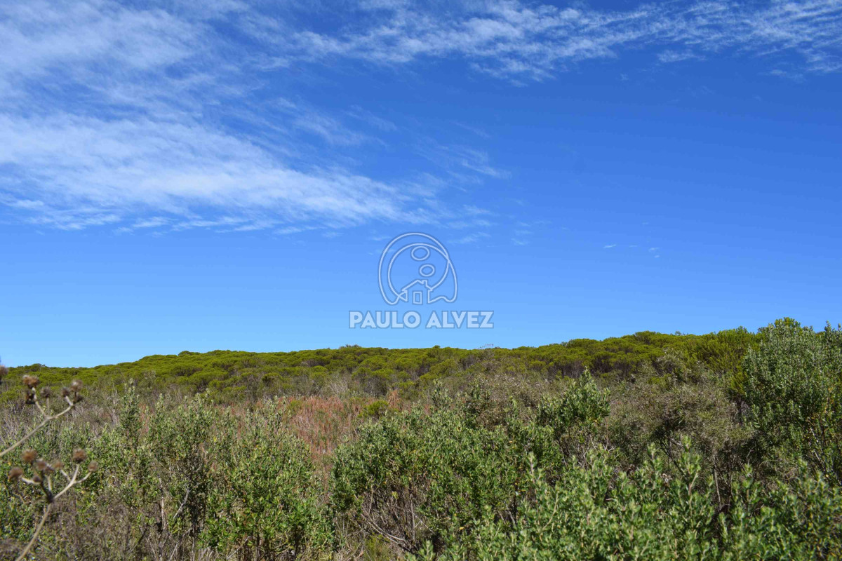 Playa Verde - GoPunta - Portal Inmobiliario de Punta del Este - Maldonado