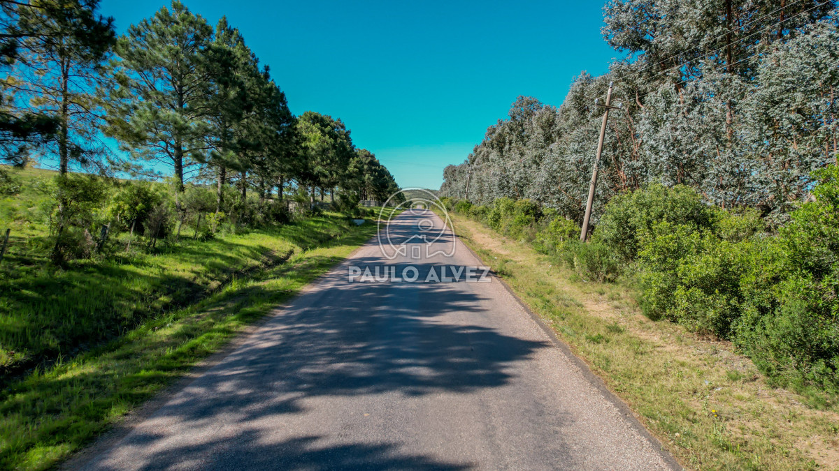 Punta Colorada - GoPunta - Portal Inmobiliario de Punta del Este - Maldonado
