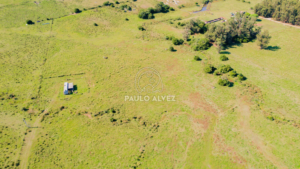 Pan de Azucar - GoPunta - Portal Inmobiliario de Punta del Este - Maldonado