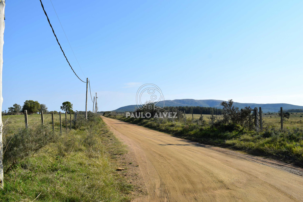 Maldonado - GoPunta - Portal Inmobiliario de Punta del Este - Maldonado