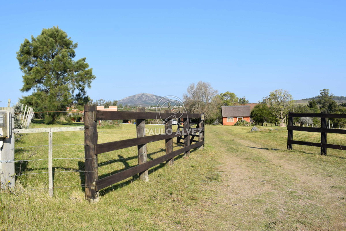 Maldonado - GoPunta - Portal Inmobiliario de Punta del Este - Maldonado