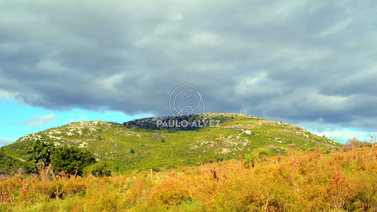 Cerro Pan de Azucar - GoPunta - Portal Inmobiliario de Punta del Este - Maldonado