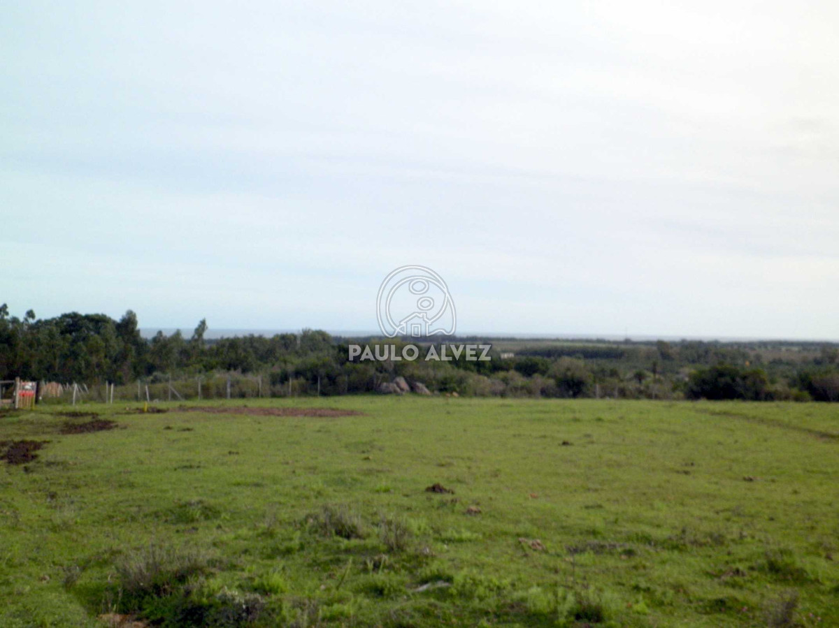 Las Flores - GoPunta - Portal Inmobiliario de Punta del Este - Maldonado