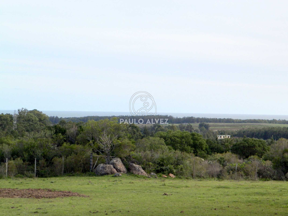 Las Flores - GoPunta - Portal Inmobiliario de Punta del Este - Maldonado