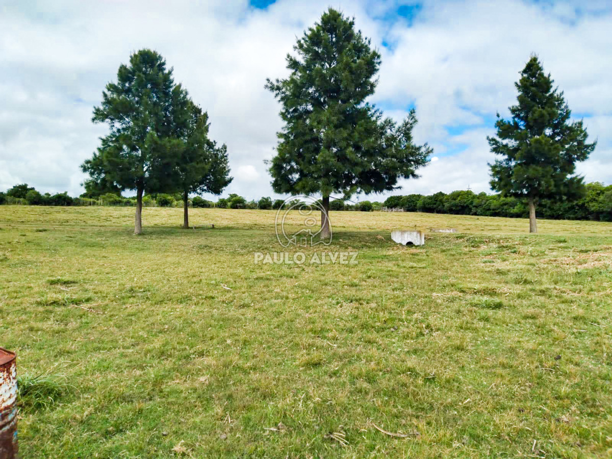 Cerro Pan de Azucar - GoPunta - Portal Inmobiliario de Punta del Este - Maldonado